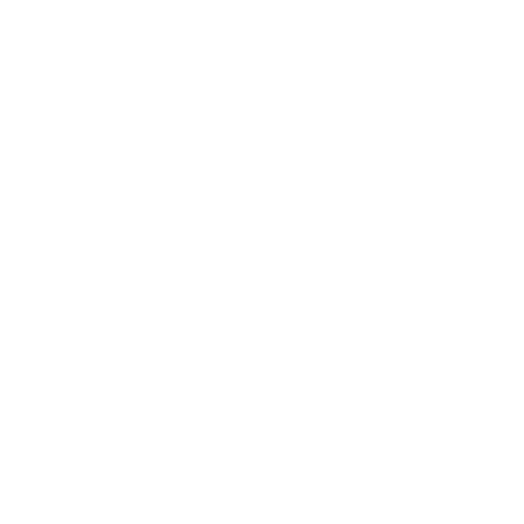 getPlnz logo